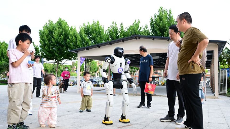 China's Hefei promotes development of intelligent robot industry