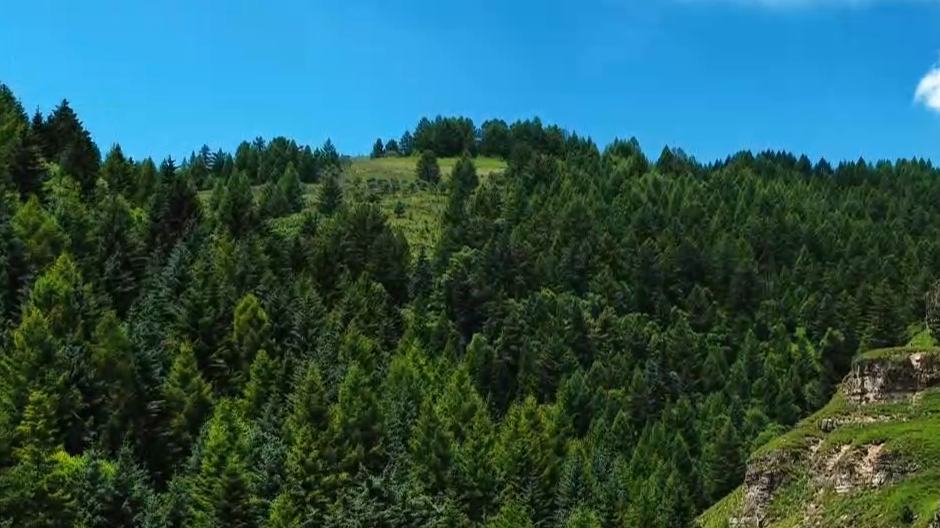 Luya Mountain: A hidden gem in Xinzhou, North China's Shanxi