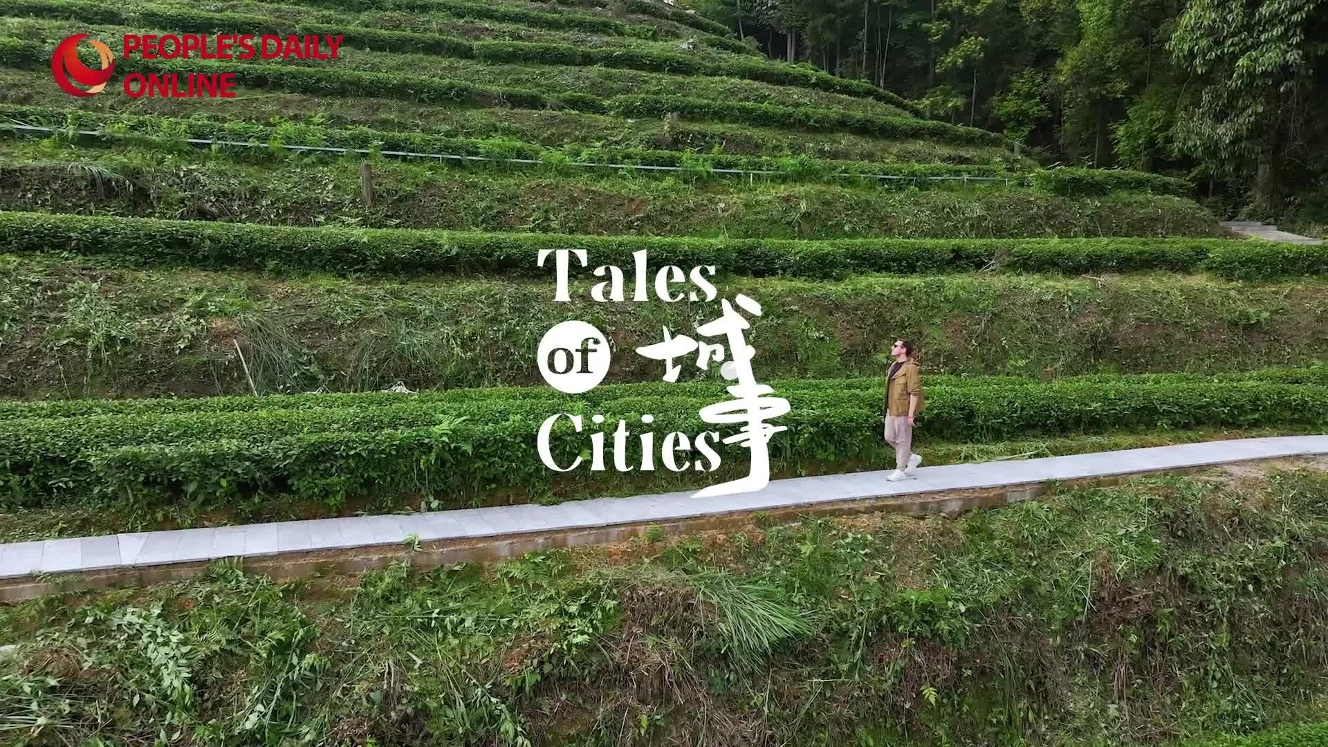 Tales of Cities | Tongren, where China's matcha capital hides in plain sight