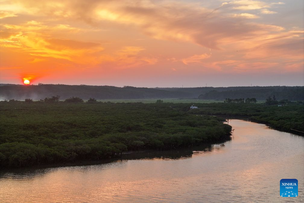 View of Shankou Mangrove Nature Reserve in Beihai, China's Guangxi