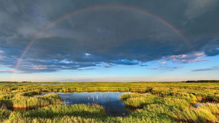 Scenery of Fujin National Wetland Park in China's Heilongjiang