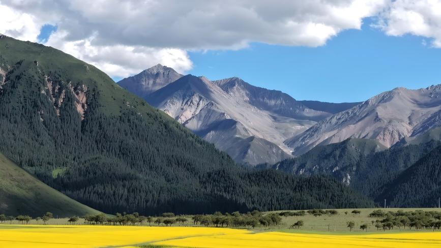 In pics: Beautiful scenery in the Qilian Mountains