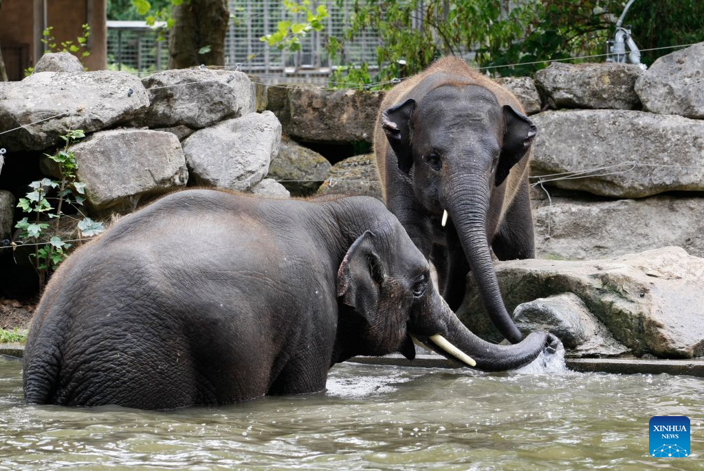 Animals seen in Rotterdam Zoo in Netherlands