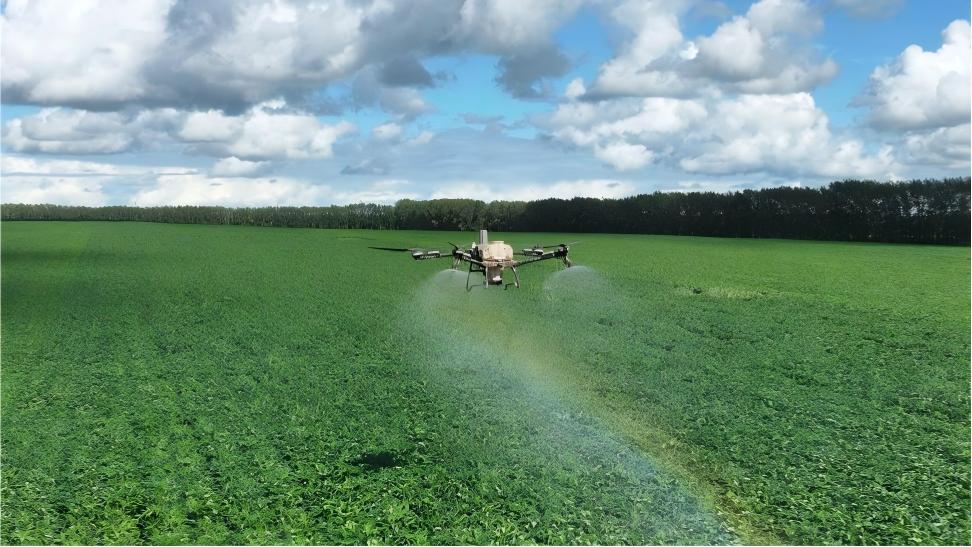 Aerial crop protection operations launched in fields of NE China's Heilongjiang
