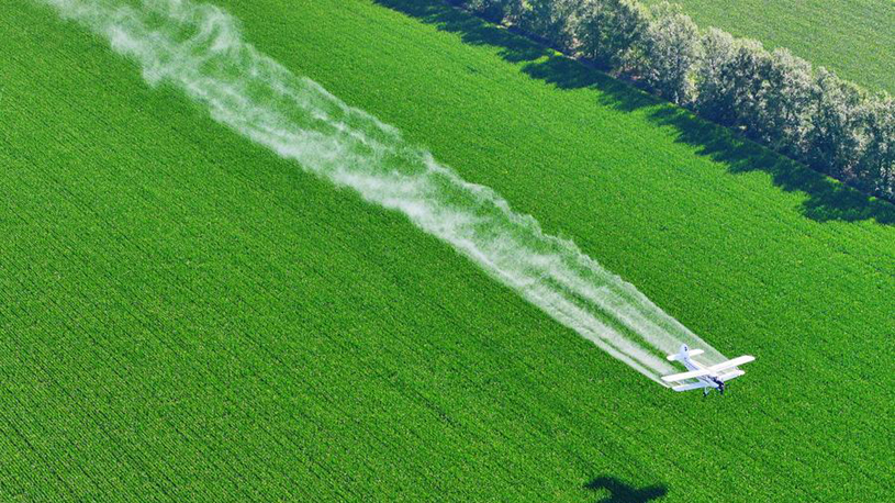 Tech innovation reshapes China's granary heartland, bolstering food security