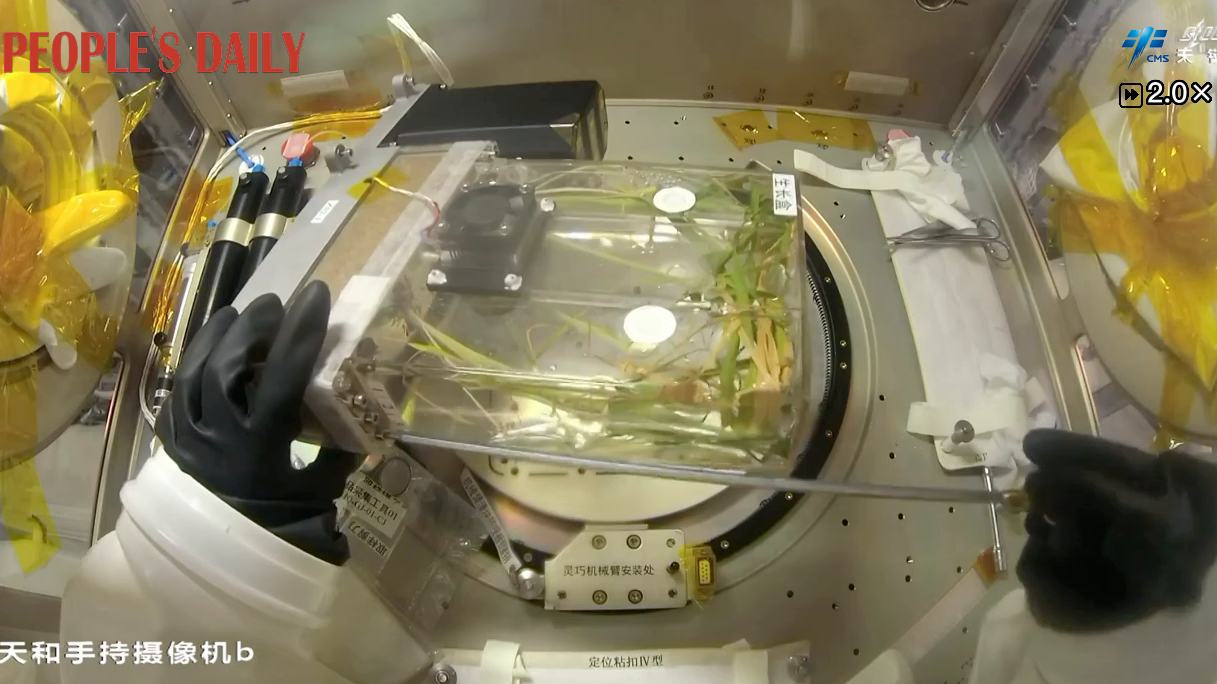 Shenzhou-23 crew continues space experiments after two months aboard Tiangong