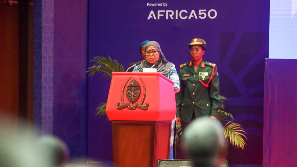 Tanzania eyes more global investment, tourism to boost growth: president