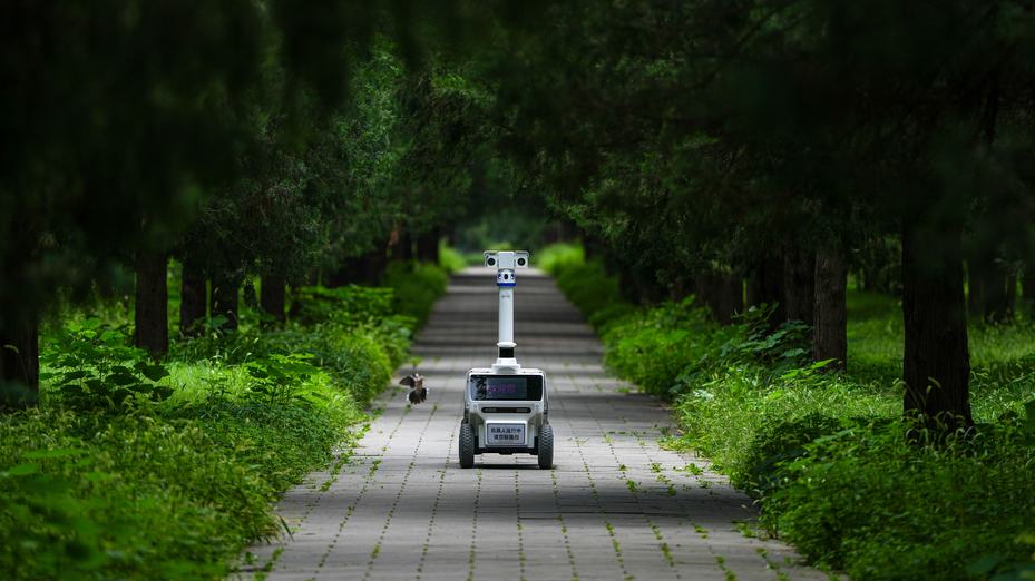 New robots seen in the Temple of Heaven Park in Beijing