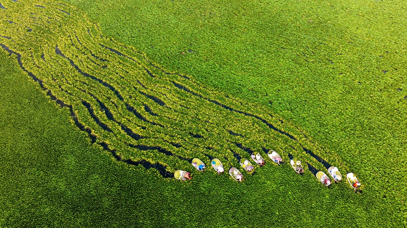 Agricultural products harvested across China