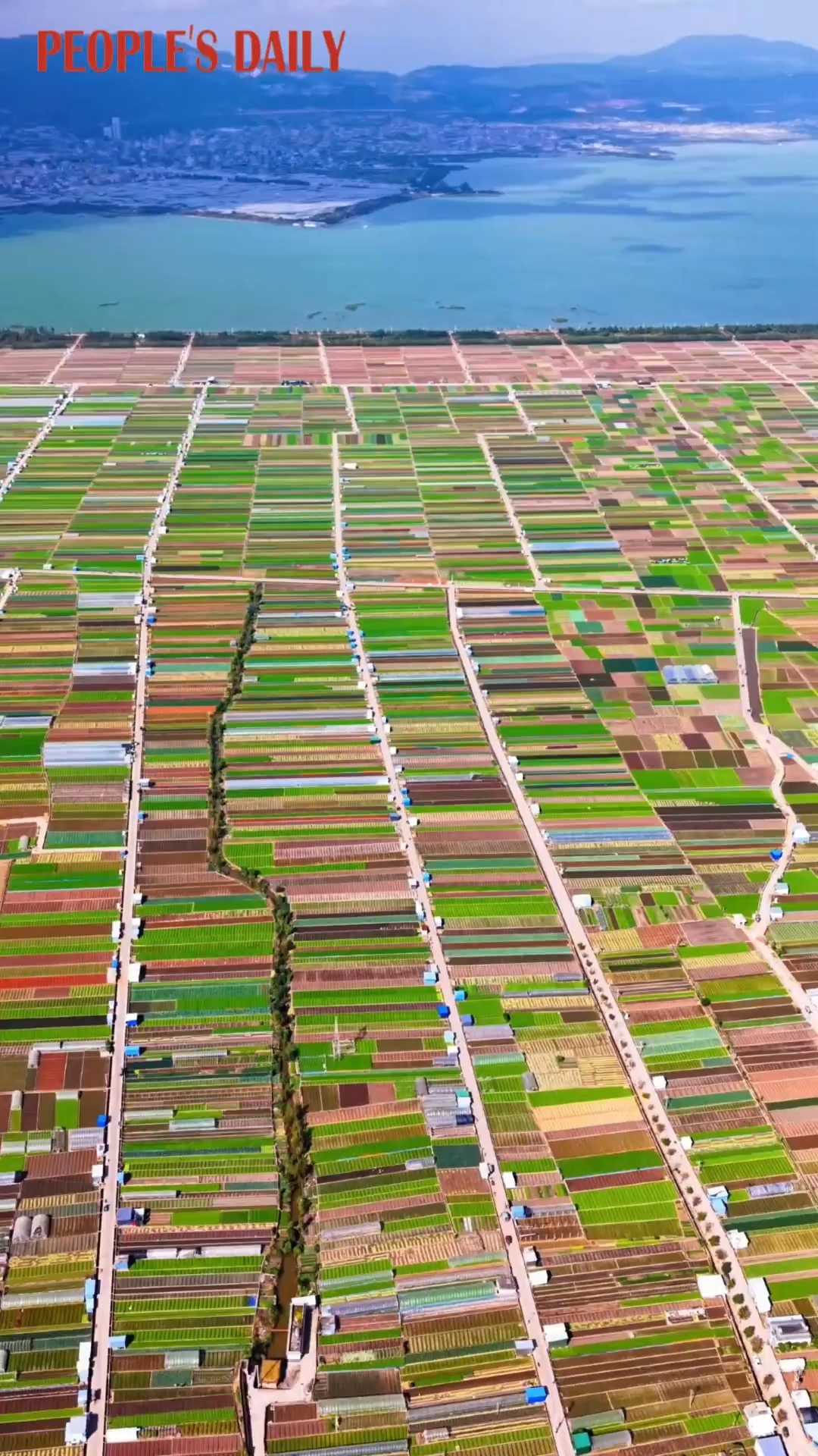 Bird's-eye view: Colorful vegetable fields stretch across Tonghai County