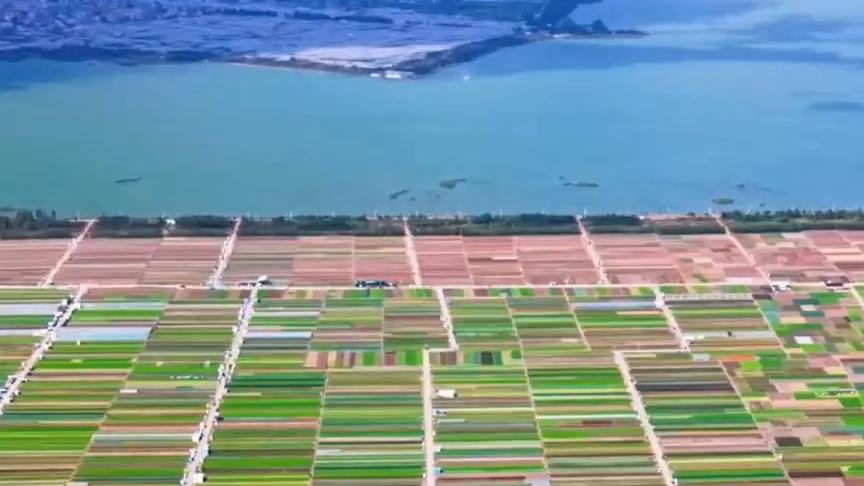 Bird's-eye view: Colorful vegetable fields stretch across Tonghai County
