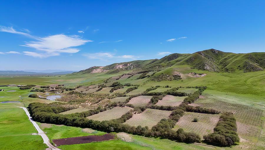 An aerial drone photo taken on July 24, 2026 shows a view of a grassland desertification control project in Xicang Village in Aba Tibetan-Qiang Autonomous Prefecture, southwest China's Sichuan Province.(Xinhua/Wang Xi)