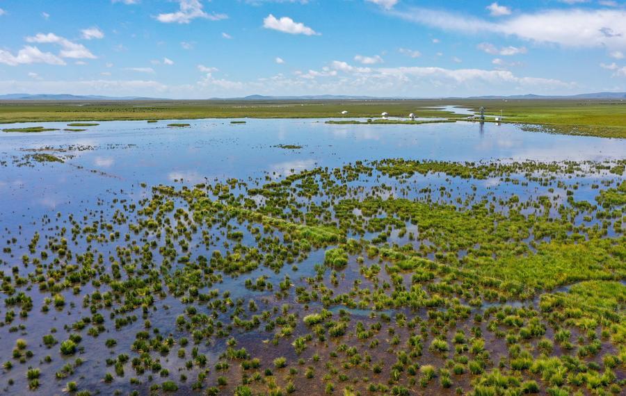 An aerial drone photo taken on Aug. 22, 2023 shows a lake in Zoige County of Aba Tibetan-Qiang Autonomous Prefecture, southwest China's Sichuan Province. (Xinhua/Wang Xi)