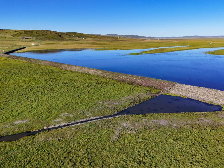 An aerial drone photo taken on Aug. 13, 2026 shows a view of an ecological restoration project in Hongyuan County in Aba Tibetan-Qiang Autonomous Prefecture, southwest China's Sichuan Province. (Xinhua/Wang Xi)