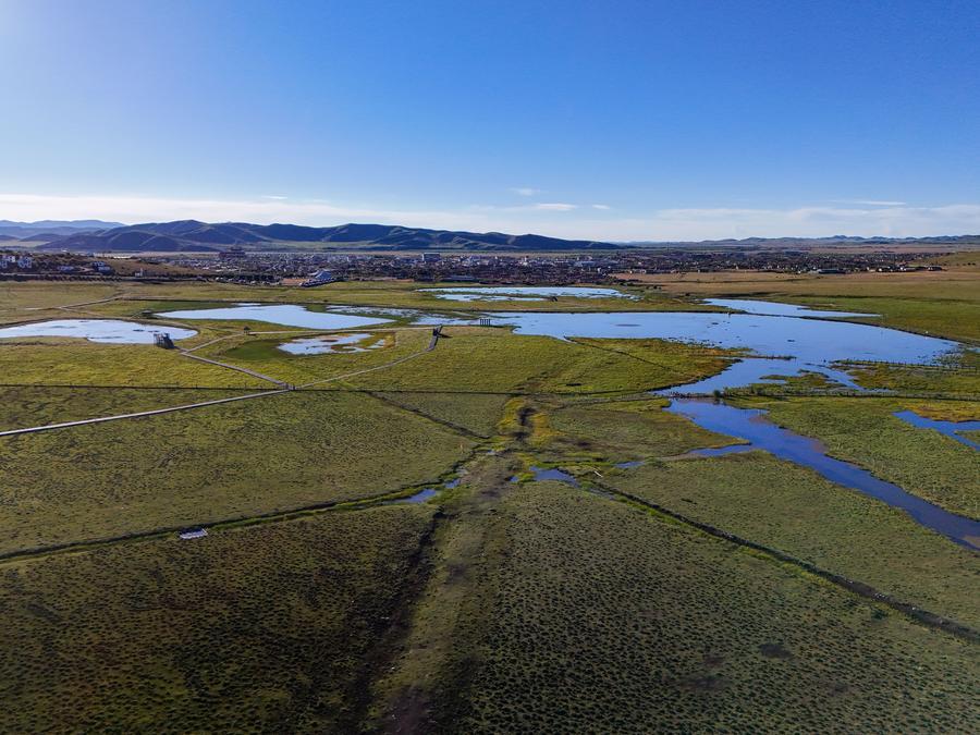 An aerial drone photo taken on Aug. 13, 2026 shows a view of a wetland in Hongyuan County in Aba Tibetan-Qiang Autonomous Prefecture, southwest China's Sichuan Province. (Xinhua/Wang Xi)