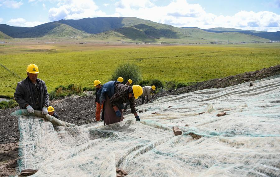 This photo taken on Aug. 23, 2023 shows people working on an ecological restoration project at an abandoned mine area in Zoige County of Aba Tibetan-Qiang Autonomous Prefecture in southwest China's Sichuan Province. (Xinhua/Wang Xi)