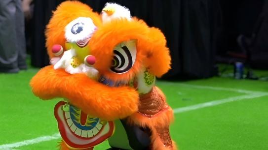 Robot lions take the spotlight at Beijing's World Robot Conference