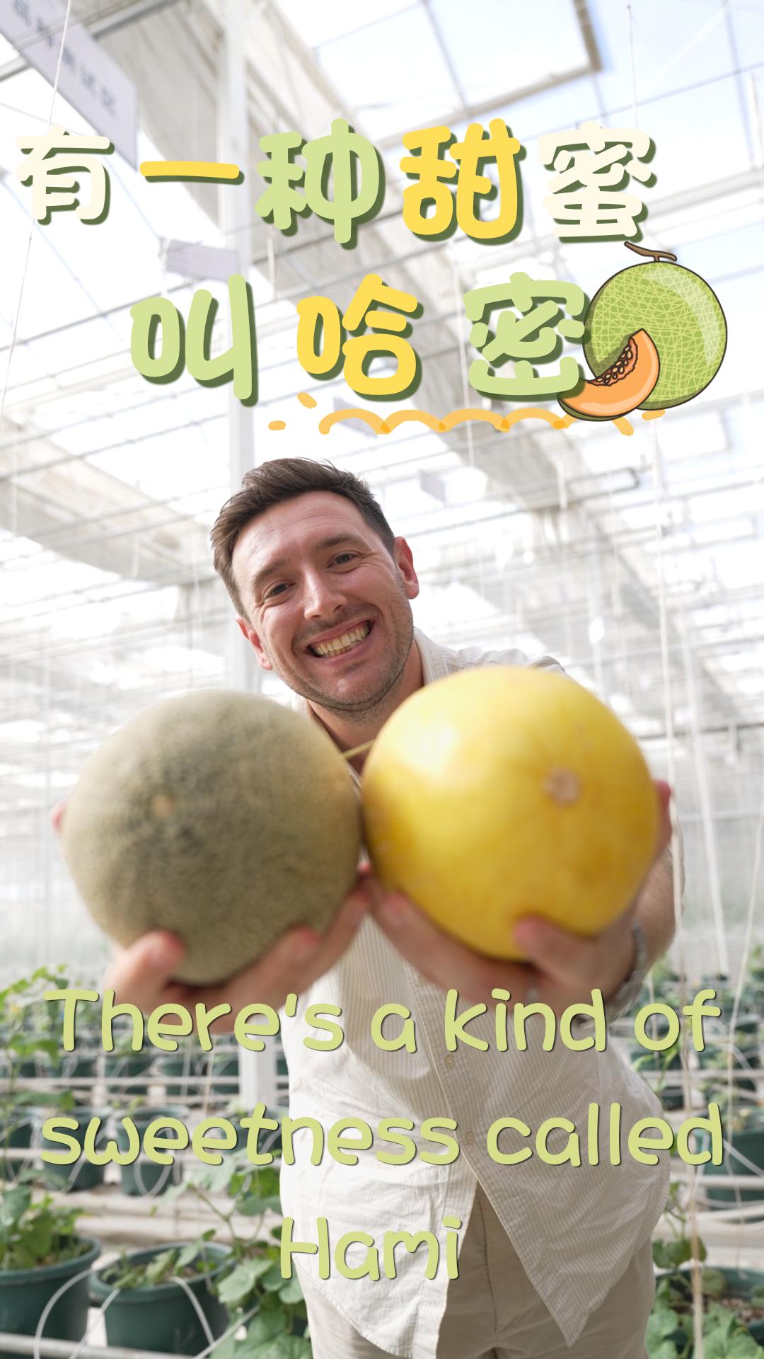 There's a kind of sweetness called Hami