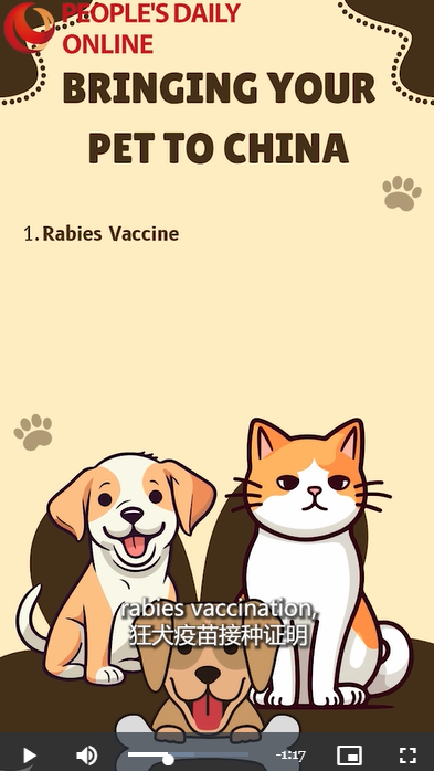 Bringing your pet with you to China