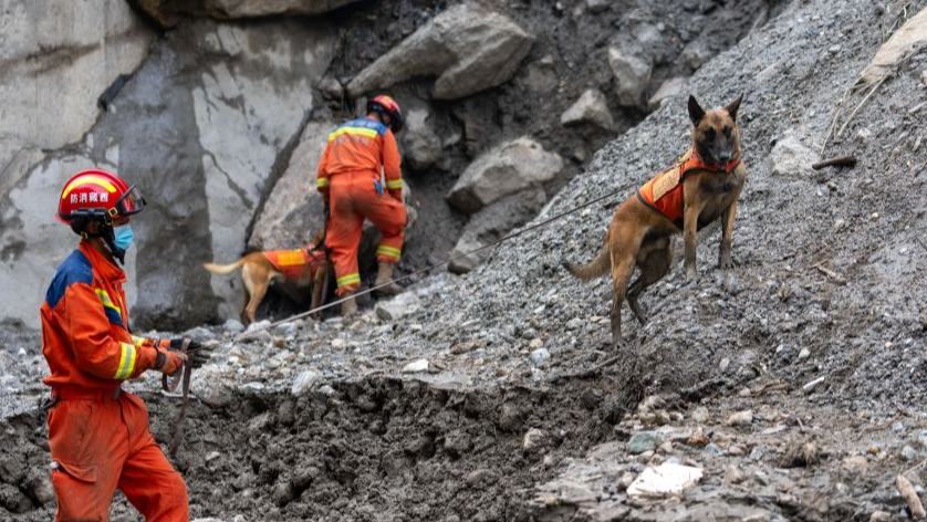 Rescuers race against time and odds in search of survivors at mudslide-hit Gyirong Port