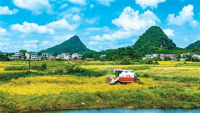 China's smart farm tools win over global users