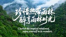 2026 “Rainforest and You" Main Venue Event