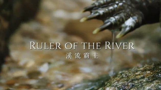 Ruler of the River