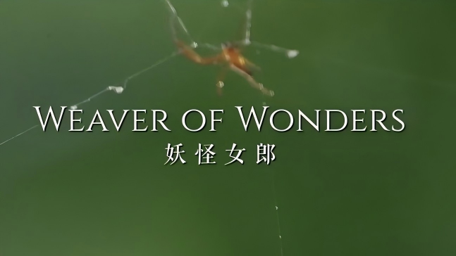 Weaver of Wonders
