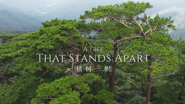 A Tree that Stands Apart