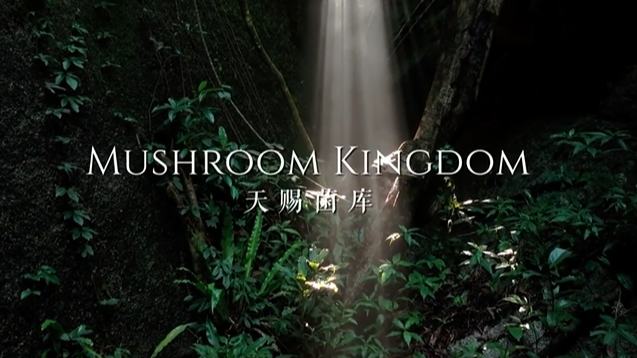 Mushroom Kingdom