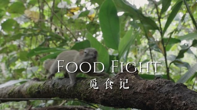 Food Fight