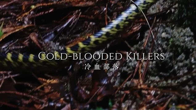 Cold-Blooded Killers