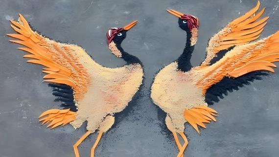 Crops turn into art as two cranes take shape in Wuyuan's Huangling