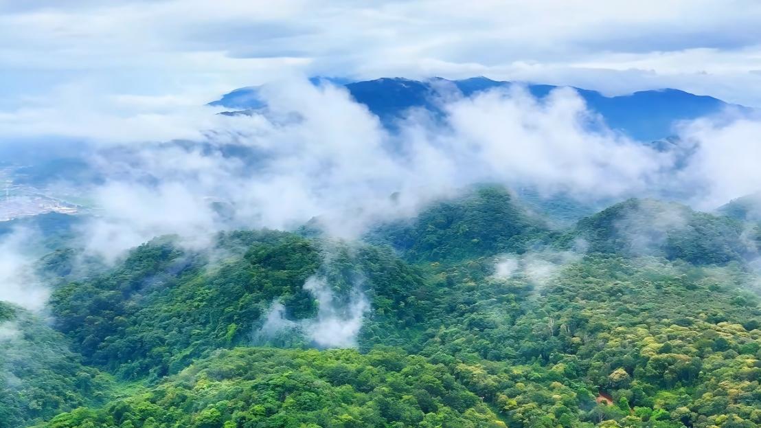 Autumn rain blankets Pu'er mountains in a sea of clouds