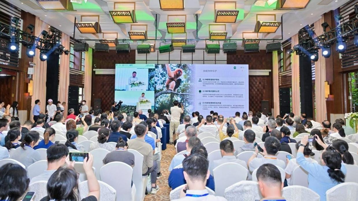 Five-year achievements unveiled for Hainan Tropical Rainforest National Park