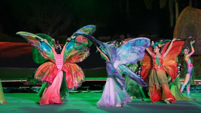 At the foot of Qixianling, "Rainforest and You"