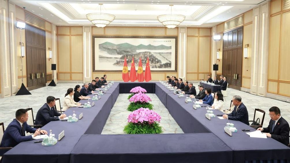 Chinese premier meets Kyrgyz cabinet chief