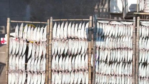 Bountiful coastal harvest: Sun-drying fish in Lianjiang