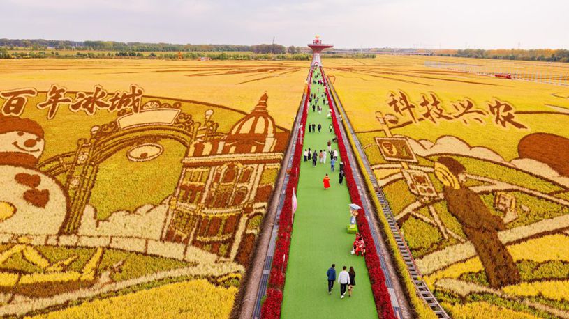 People across China celebrate Chinese farmers' harvest festival