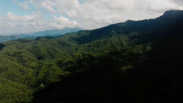 Searching for Hainan Gibbons: A documentary telling the rebirth story of Hainan's rainforest, from barren hills to lush forests