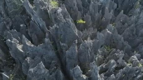 Karst rainforest