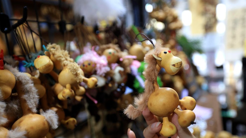 Gourd industry flourishes in Liaocheng, China's Shandong