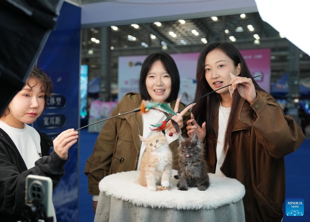 Pet Source Expo opens in Anshan, China's Liaoning