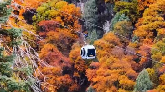 Peak autumn in Qinghai