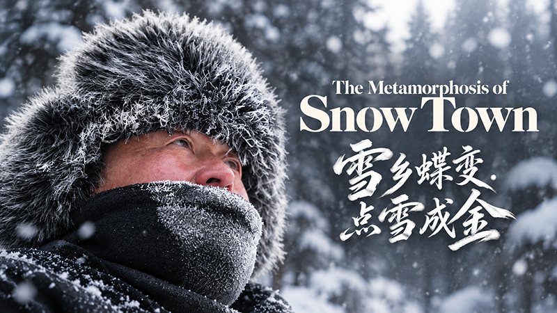The metamorphosis of Snow Town: How ice and snow lifted the black soil's 'prosperity scorecard'