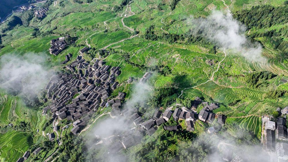 Foreign visitors flock to Longji to experience traditional Chinese rural life
