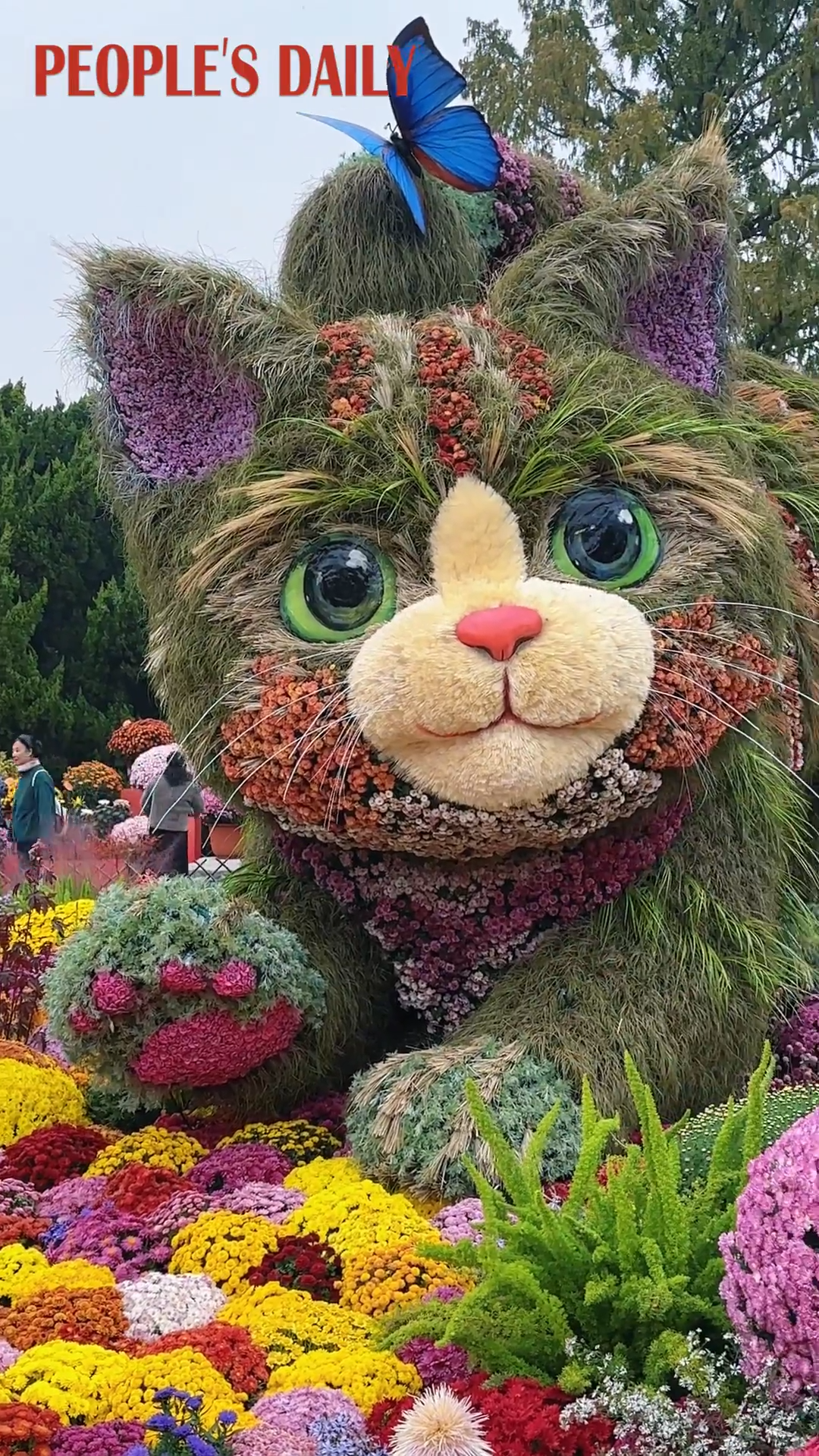 Giant plant cat featured at 47th Beijing Chrysanthemum Exhibition