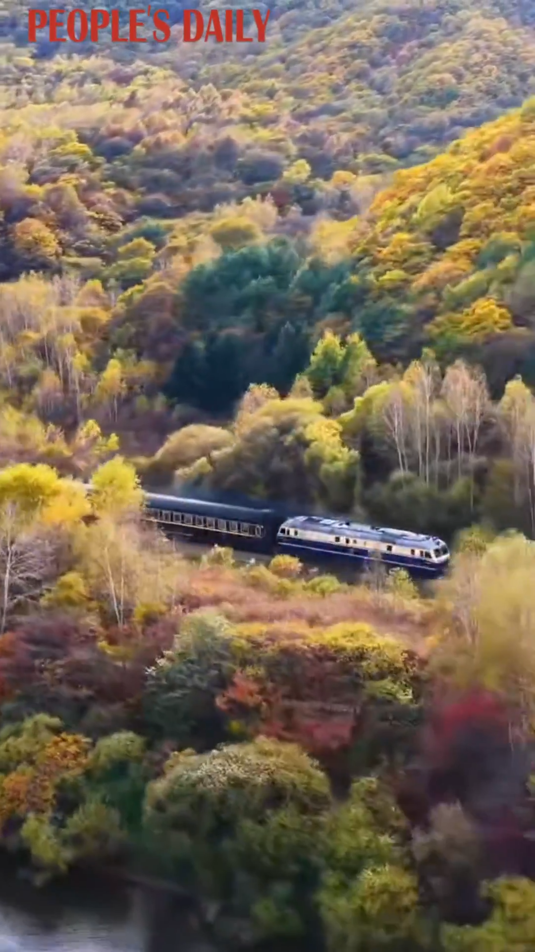 Train winds through fall foliage of Lesser Khingan Mountains