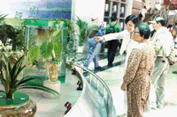 cd531.gif (24314 bytes)