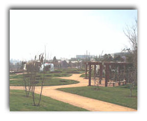 scggy.jpg (12827 bytes)